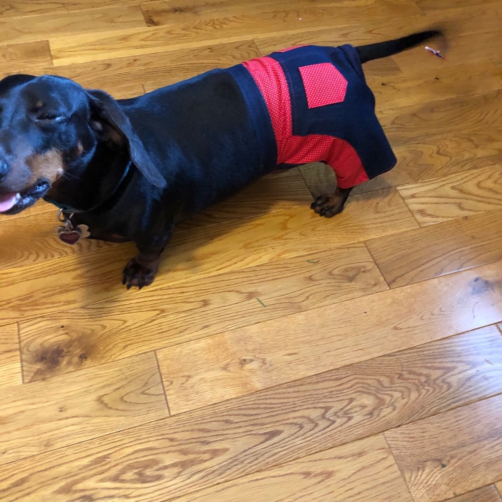 Doggie jeans